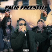 Palig Freestyle (feat. Romeo Doje, Sangpoispo & Younsbob) artwork