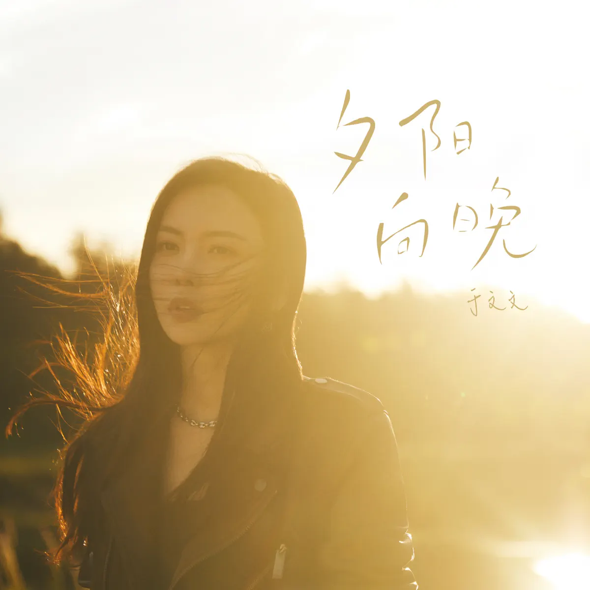 於文文 - 夕陽向晚 - Single (2023) [iTunes Plus AAC M4A]-新房子