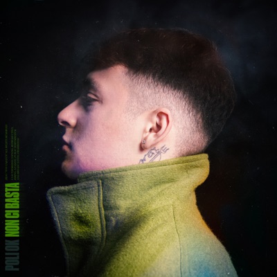 Non ci basta - Single