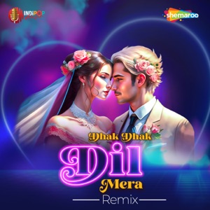 Dhak Dhak Dil Mera Remix (From