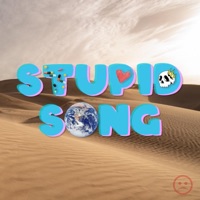 Stupid Song - Single - Rookie of the Year