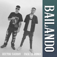 Bailando - Single - Hector Sadboy, Fack Le Roma & Ikki