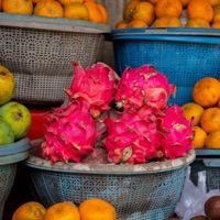 Tamway Reef - Single - Kit Armstrong