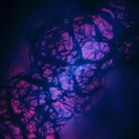 The Art of Protean Currents - EP - Sleepyiki