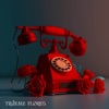 Traeme flores