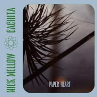 Paper Heart