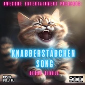 Knabberstäbchen Song artwork