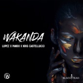 Wakanda (Extended Mix) artwork