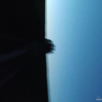 The Past - Single - Masa