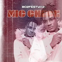 Mic Check - Single - Bozfestyval