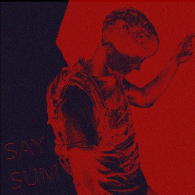 Say Sum - Single