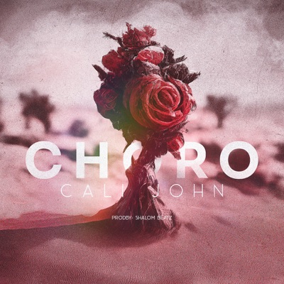 Choro (feat. Shalom Beatz) - Single