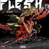 FLESH (feat. Mo Rukuz & Enels) artwork