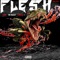 FLESH (feat. Mo Rukuz & Enels) artwork