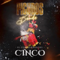 El Cumpleaños Del Cinco - Single - Los Picudos