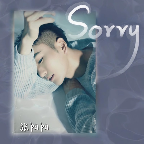 Sorry - Single