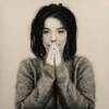 Björk - Debut artwork