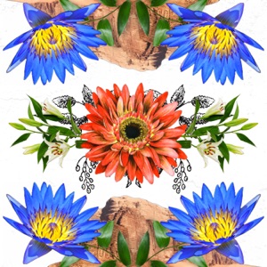 Blooming of the Desert - Single