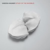 Vanessa Wagner Etude No. 16 Study of the Invisible