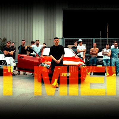 I MIEI - Single