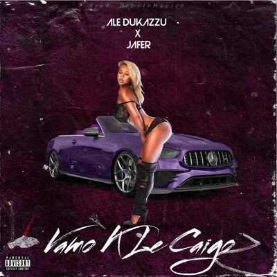 Vamo K Le Caigo (feat. Jafer) - Single