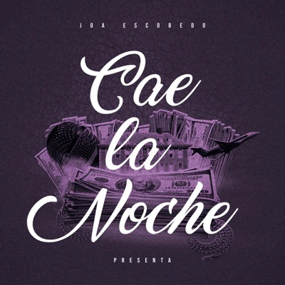 CAE LA NOCHE - Single