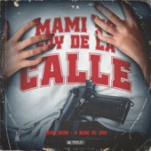 Mami Yo Soy de la Calle artwork