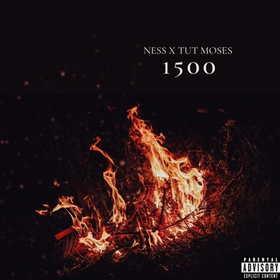 1500 (feat. Tut Moses) - Single