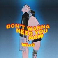 Don't Wanna Need You Now - Single - WizG