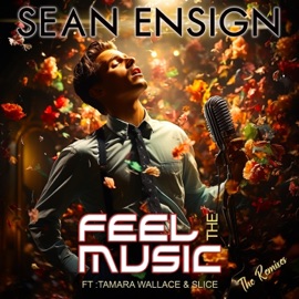 Feel the Music (feat. Tamara Wallace & Slice) [JRMX Club Mix] Sean Ensign