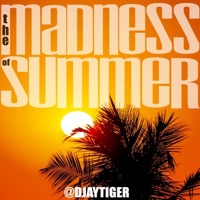 The Madness of Summer - Single - Djaytiger