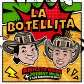 La Botellita artwork