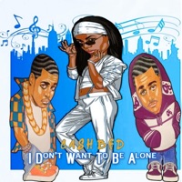 I Don't Want To Be Alone - Single - Cash BFD