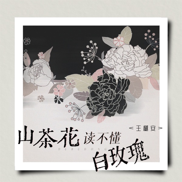 山茶花读不懂白玫瑰 - Single