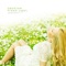 Happy laughter - Forties lyrics