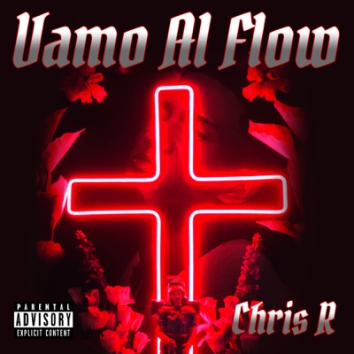 Vamo al Flow - Single