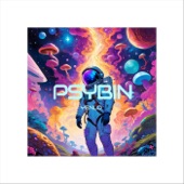 Psybin artwork