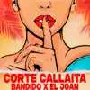 Stream & download Corte Callaita - Single