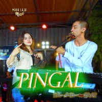 Pingal (feat. Onar) - Single - Sasya Arkhisna