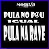 Pula no Pau IgualL Pula na Rave - Single