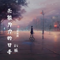 无能为力的日子 (DJ版) - Single - Zerun Hou