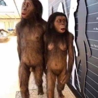 Up & Down - Single - Capitol P