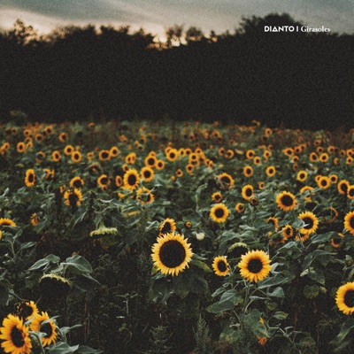 Girasoles - Single