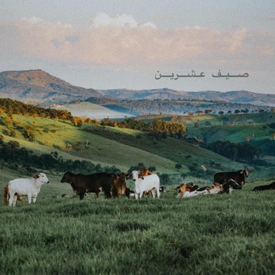 صيف عشرين - Single