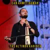 Taş Altında Karınca