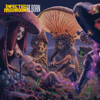 REBORN - Infected Mushroom