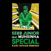 Special (Kaidi Tatham Remix) artwork