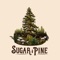 Fairchild - Sugar Pine lyrics