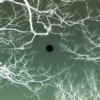 Her Laugh - Single - strxwberrymilk