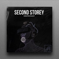 Disrupted Dialect - Second Storey